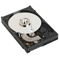 DELL HDD 500GB 7.2K RPM SATA 3Gbps 3.5in Cabled ( Pro T130, R230) (400-AKWT) | Originálny Dell produkt